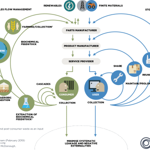 ¿Qué es la Economía Circular?